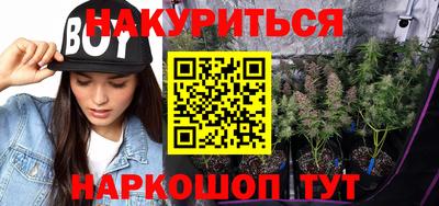 индика Ставрополь