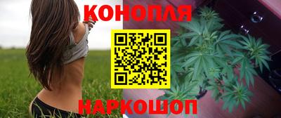 индика Ставрополь
