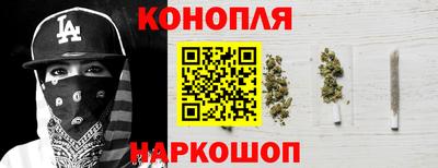 индика Ставрополь
