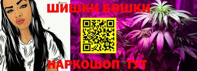 индика Ставрополь
