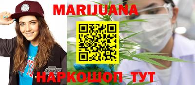 индика Ставрополь