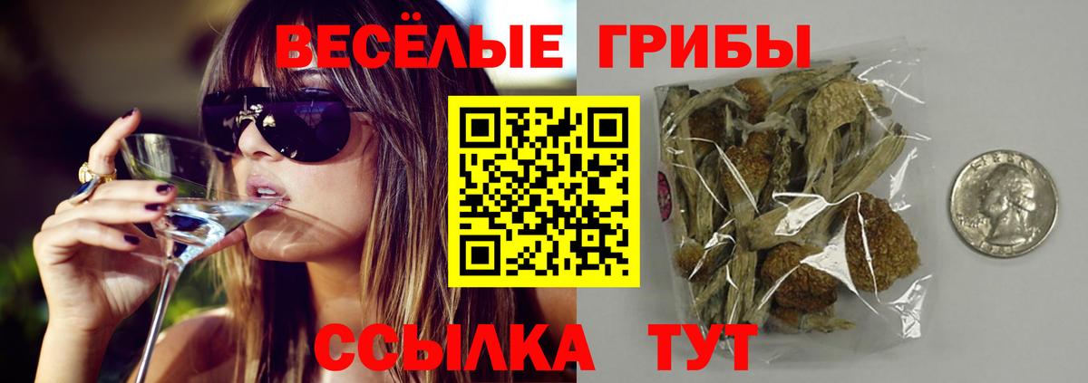 Галлюциногенные грибы Magic Shrooms  Вход с VPN  Бирск 